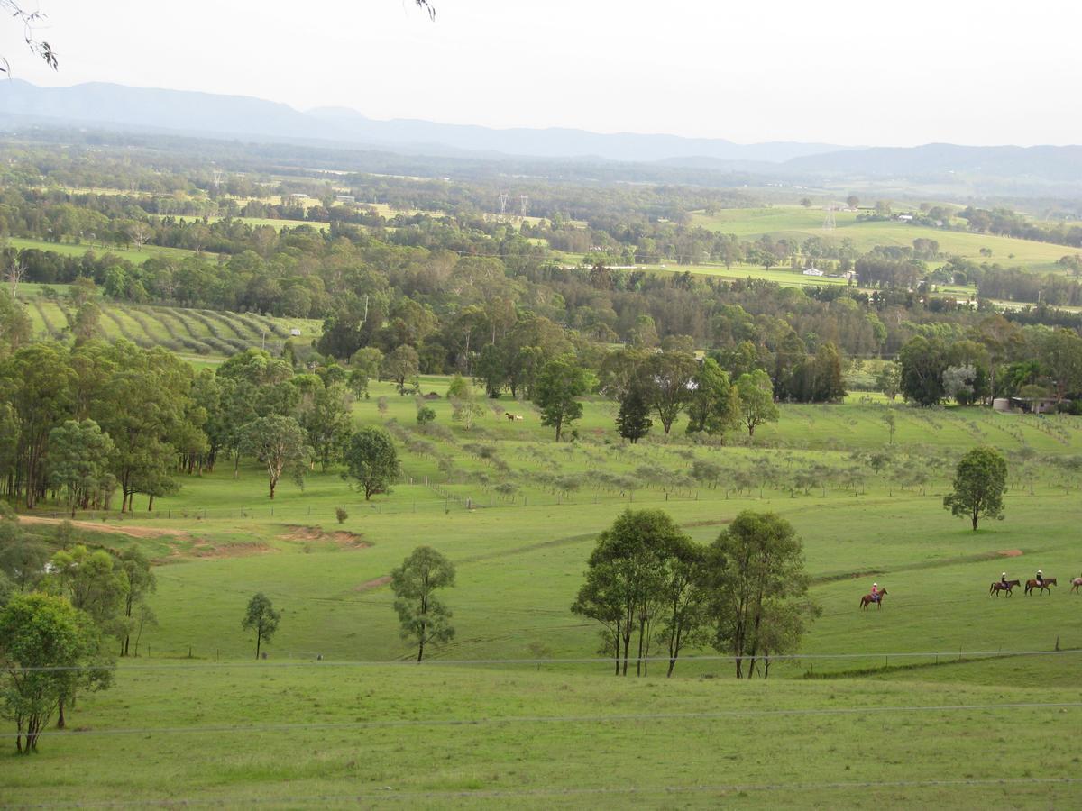 Hill Top Country Guest House Lovedale Luaran gambar