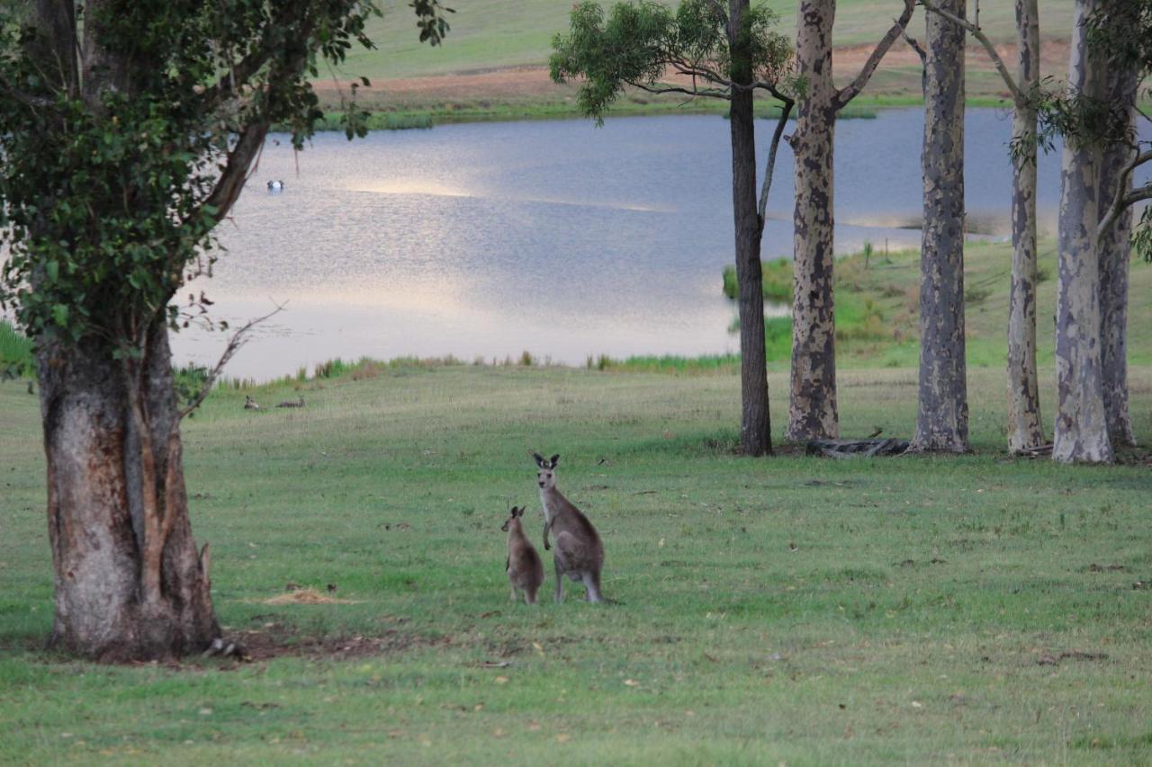 Hill Top Country Guest House Lovedale Luaran gambar